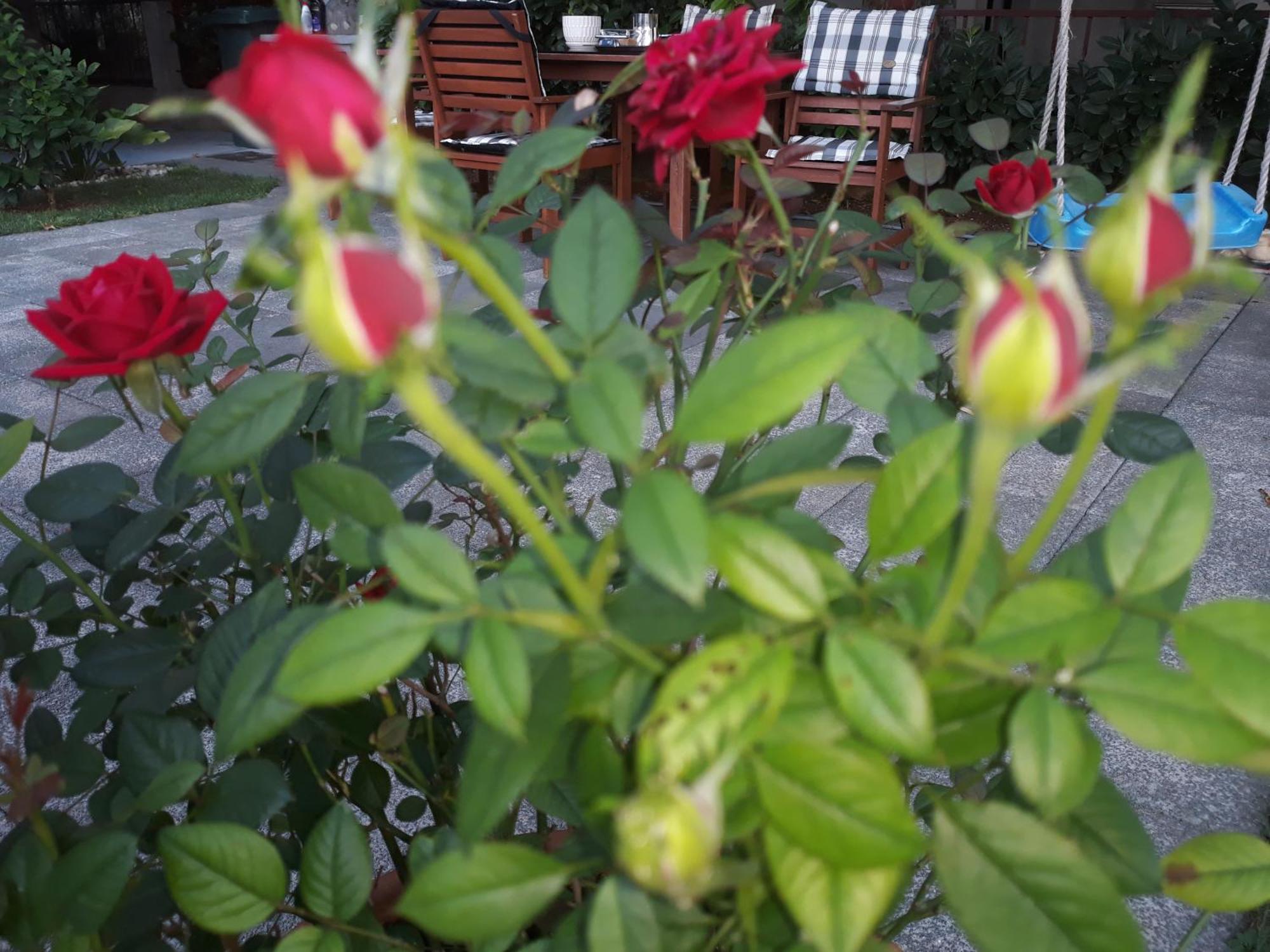 Guest House No 13 Mostar Luaran gambar